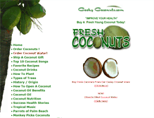 Tablet Screenshot of cookycoconuts.com